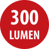Akku LED Handleuchte HL 300 AD 300lm, mit Dynamo, Haken, Magnet